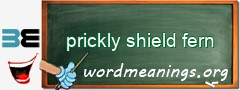 WordMeaning blackboard for prickly shield fern